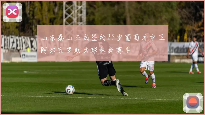 山东泰山正式签约25岁葡萄牙中卫阿尔瓦罗助力球队新赛季