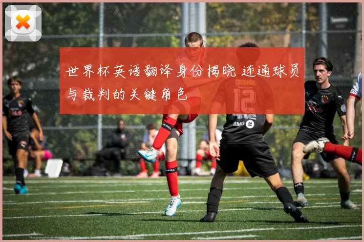 世界杯英语翻译身份揭晓 连通球员与裁判的关键角色