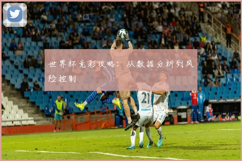 世界杯竞彩攻略：从数据分析到风险控制