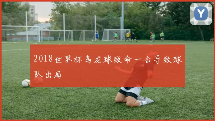 2018世界杯乌龙球致命一击导致球队出局