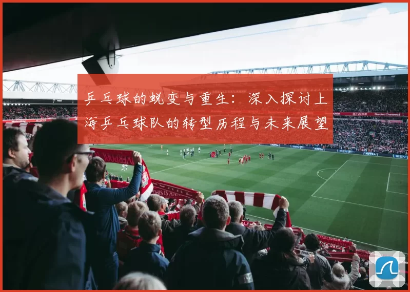 乒乓球的蜕变与重生：深入探讨上海乒乓球队的转型历程与未来展望