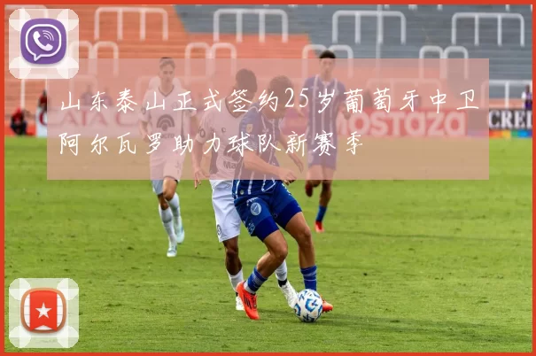山东泰山正式签约25岁葡萄牙中卫阿尔瓦罗助力球队新赛季