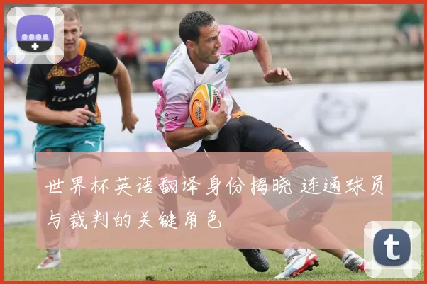 世界杯英语翻译身份揭晓 连通球员与裁判的关键角色