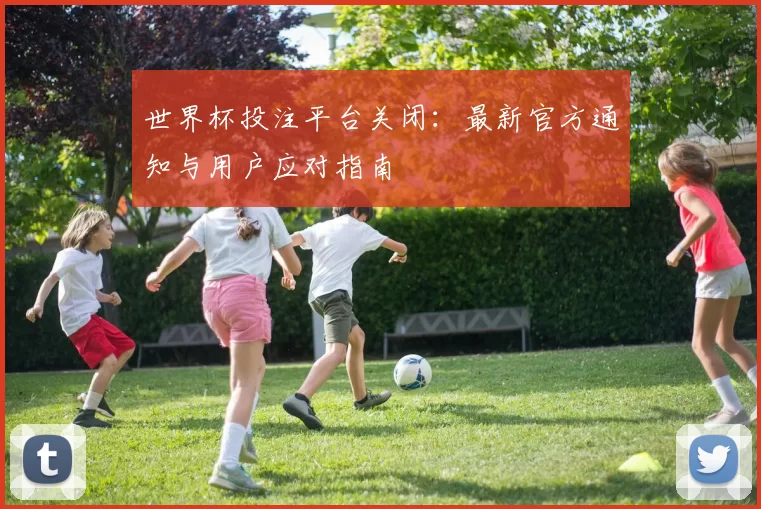 世界杯投注平台关闭:最新官方通知与用户应对指南