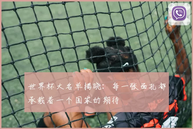 世界杯大名单揭晓：每一张面孔都承载着一个国家的期待