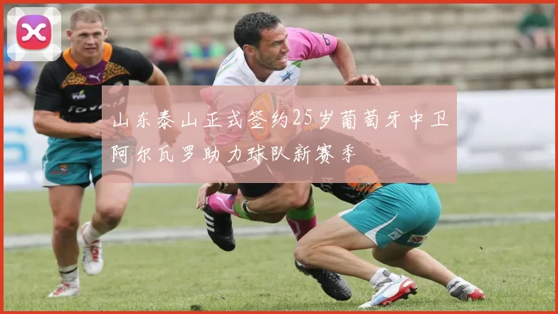 山东泰山正式签约25岁葡萄牙中卫阿尔瓦罗助力球队新赛季