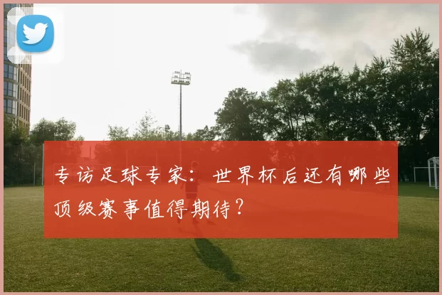 专访足球专家：世界杯后还有哪些顶级赛事值得期待？