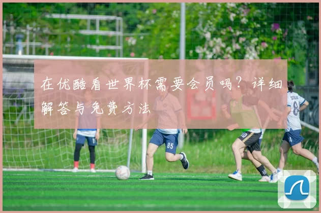在优酷看世界杯需要会员吗?详细解答与免费方法