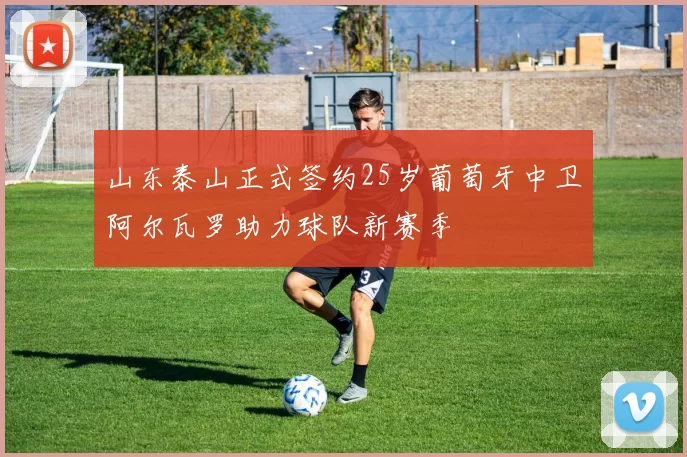 山东泰山正式签约25岁葡萄牙中卫阿尔瓦罗助力球队新赛季