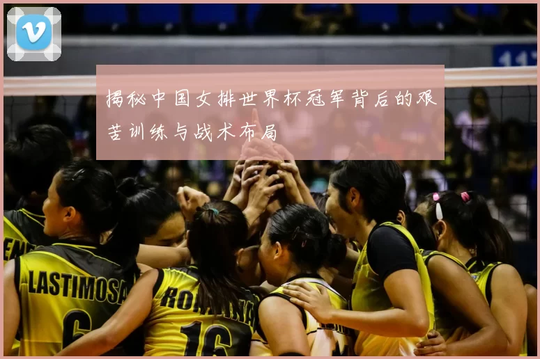 揭秘中国女排世界杯冠军背后的艰苦训练与战术布局