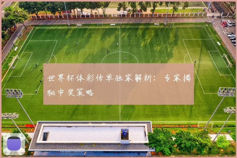 世界杯体彩传单独家解析:专家揭秘中奖策略