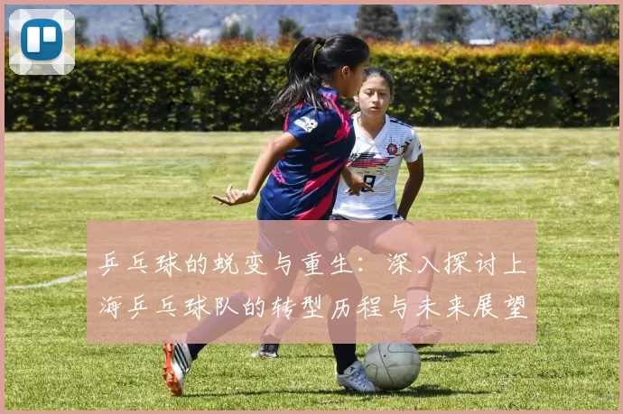 乒乓球的蜕变与重生：深入探讨上海乒乓球队的转型历程与未来展望