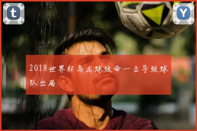 2018世界杯乌龙球致命一击导致球队出局