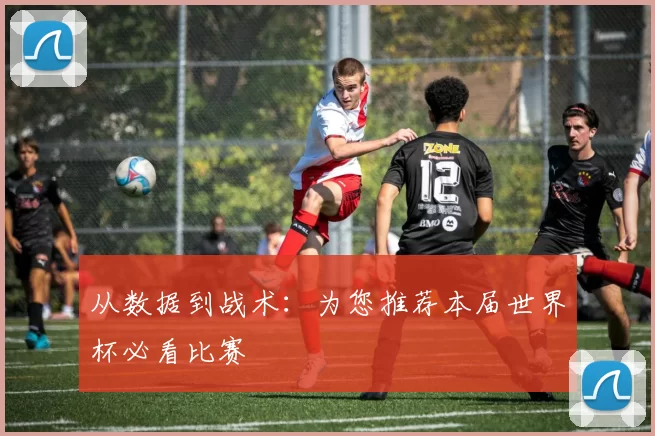 从数据到战术：为您推荐本届世界杯必看比赛