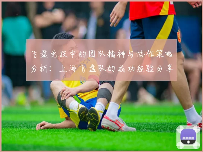 飞盘竞技中的团队精神与协作策略分析：上海飞盘队的成功经验分享