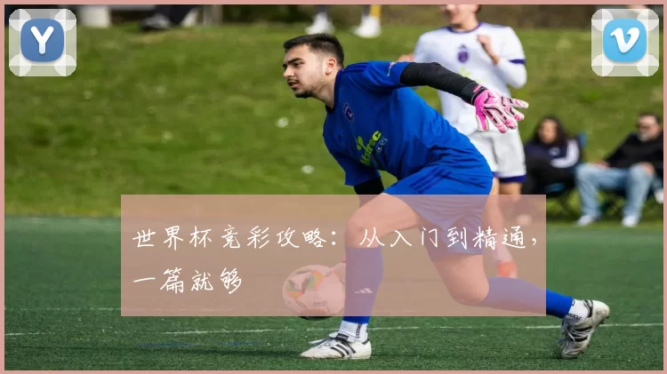 世界杯竞彩攻略：从入门到精通，一篇就够