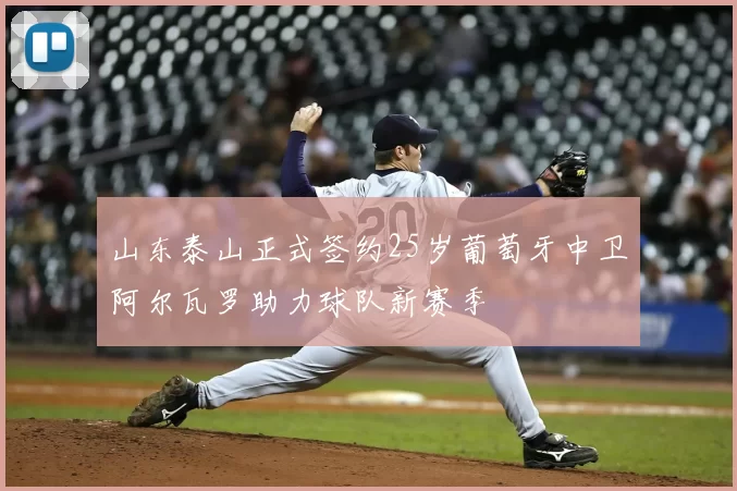 山东泰山正式签约25岁葡萄牙中卫阿尔瓦罗助力球队新赛季